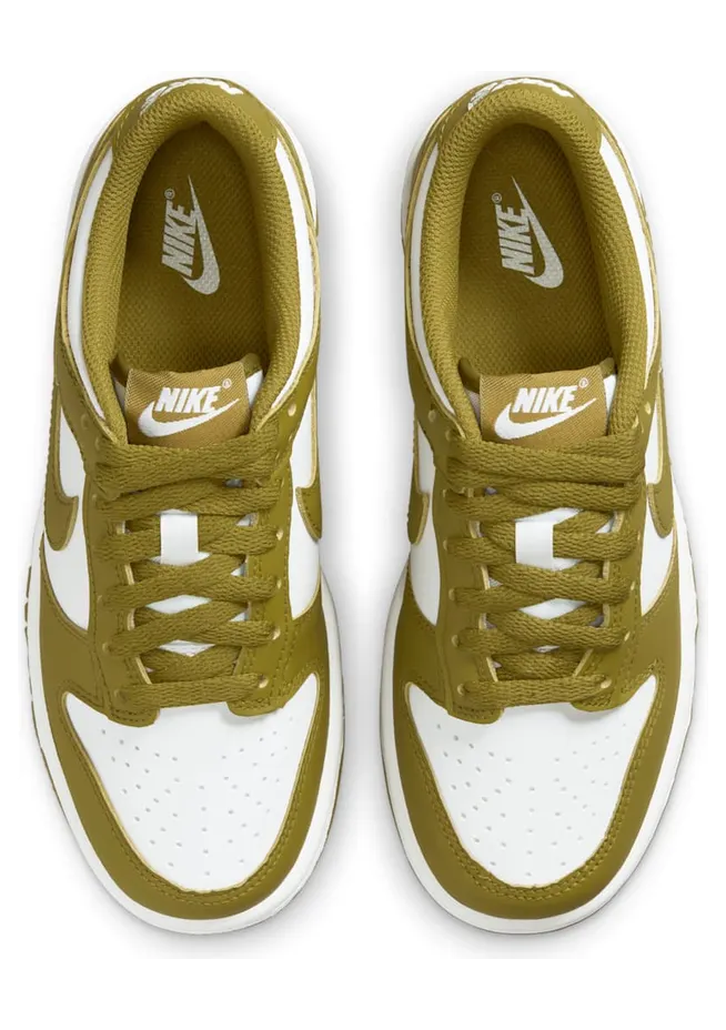 nike-dunk FB9109-108