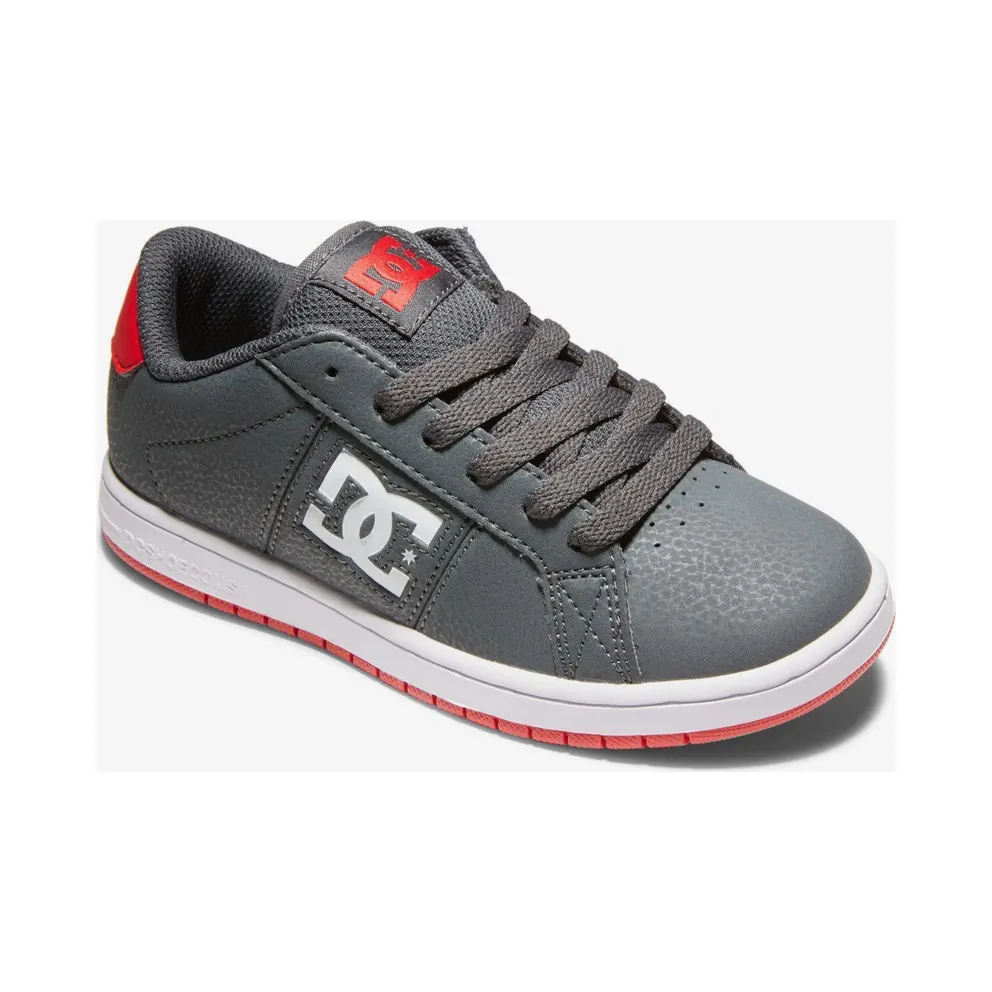 DC Striker Gray (ADBS100270grf)