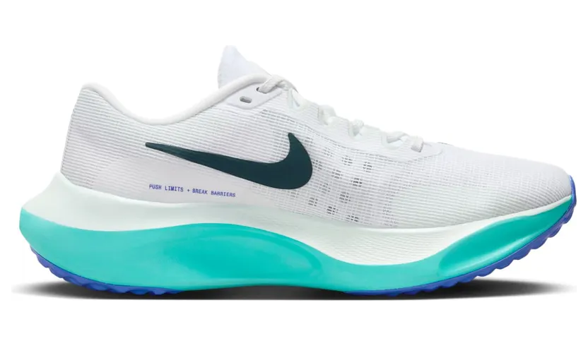 nike-zoom DM8968-302