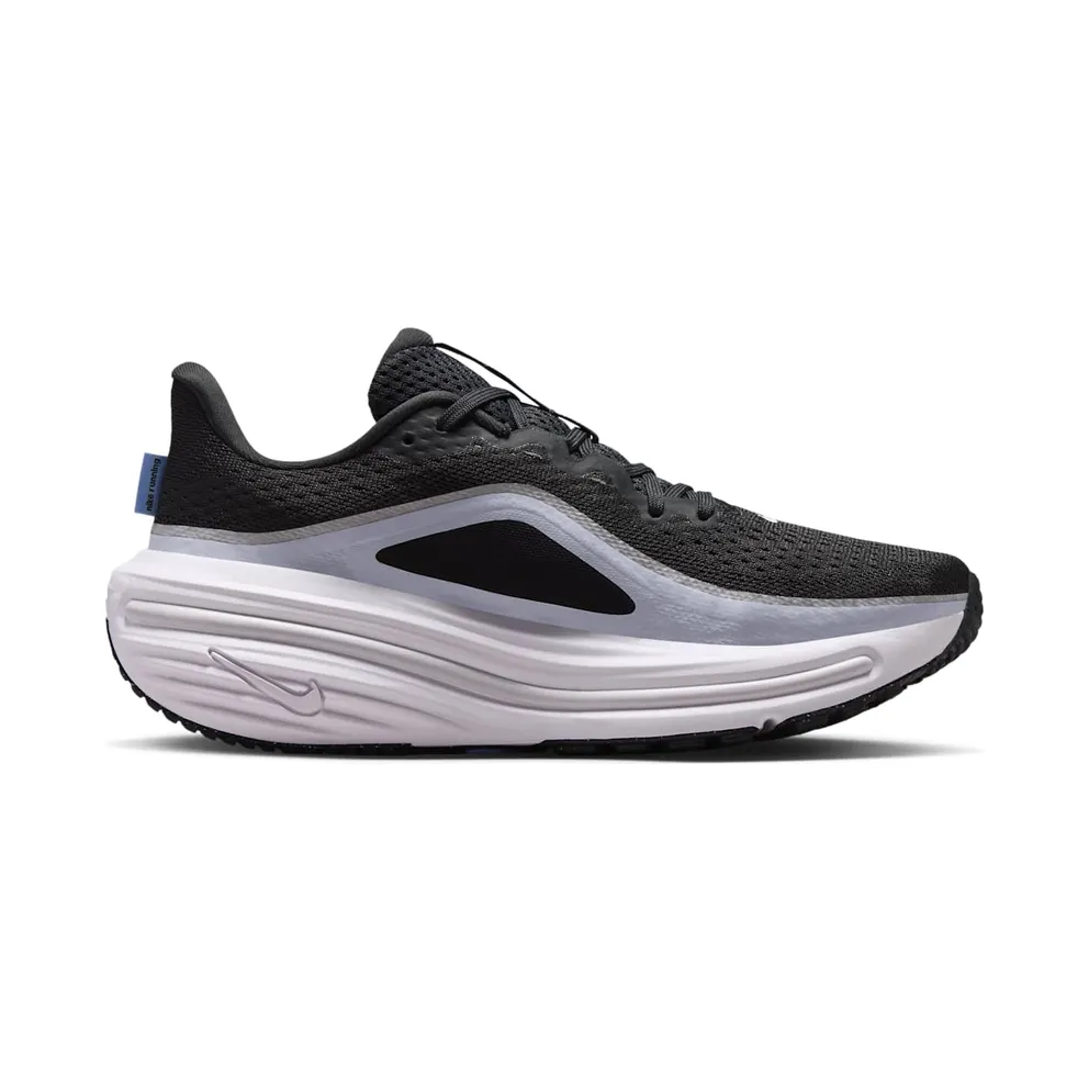 Nike Winflo 12 Grey (HV9273-005)