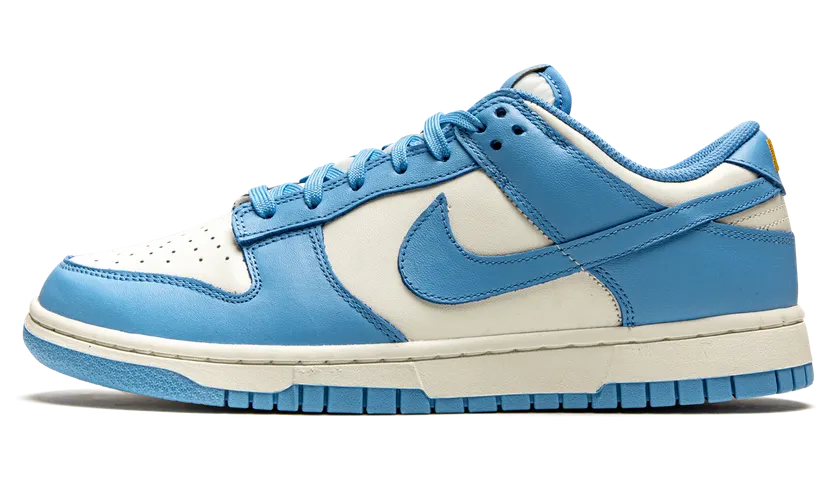 Nike Dunk Low Coast (DD1503-100)