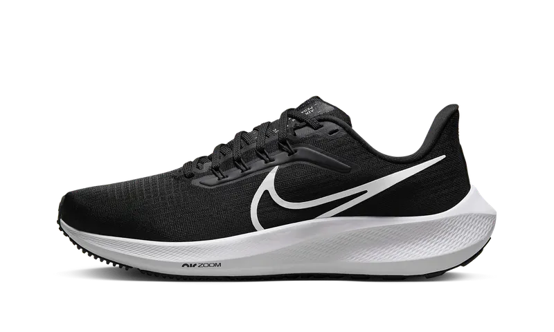 Nike Air Zoom Pegasus 39 TB “BLACK WHITE” (DM0165-001)