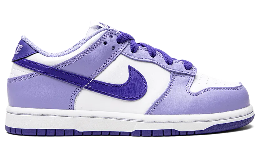 nike-dunk DZ4457-100