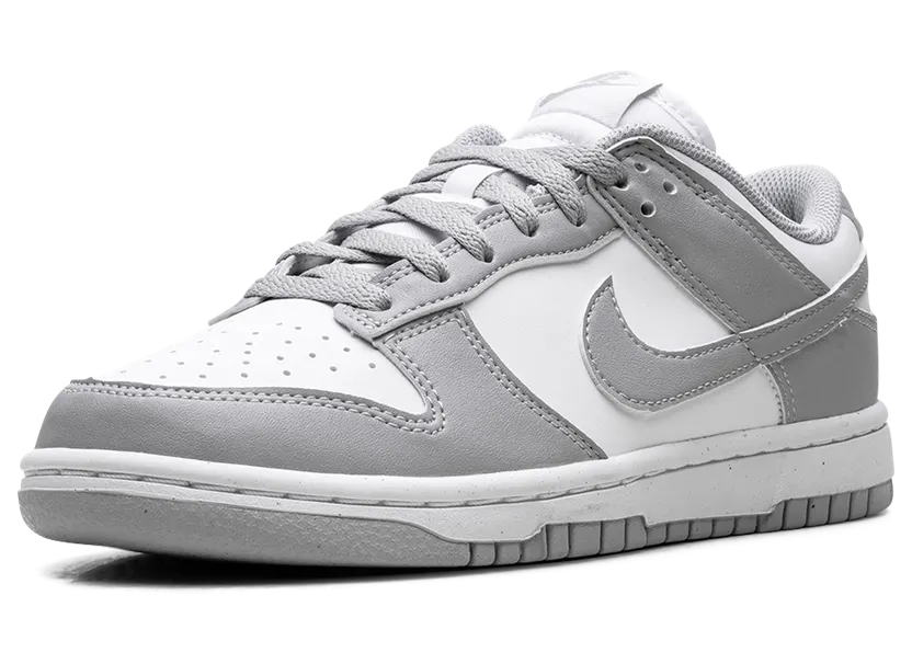 nike-dunk DD1873-113