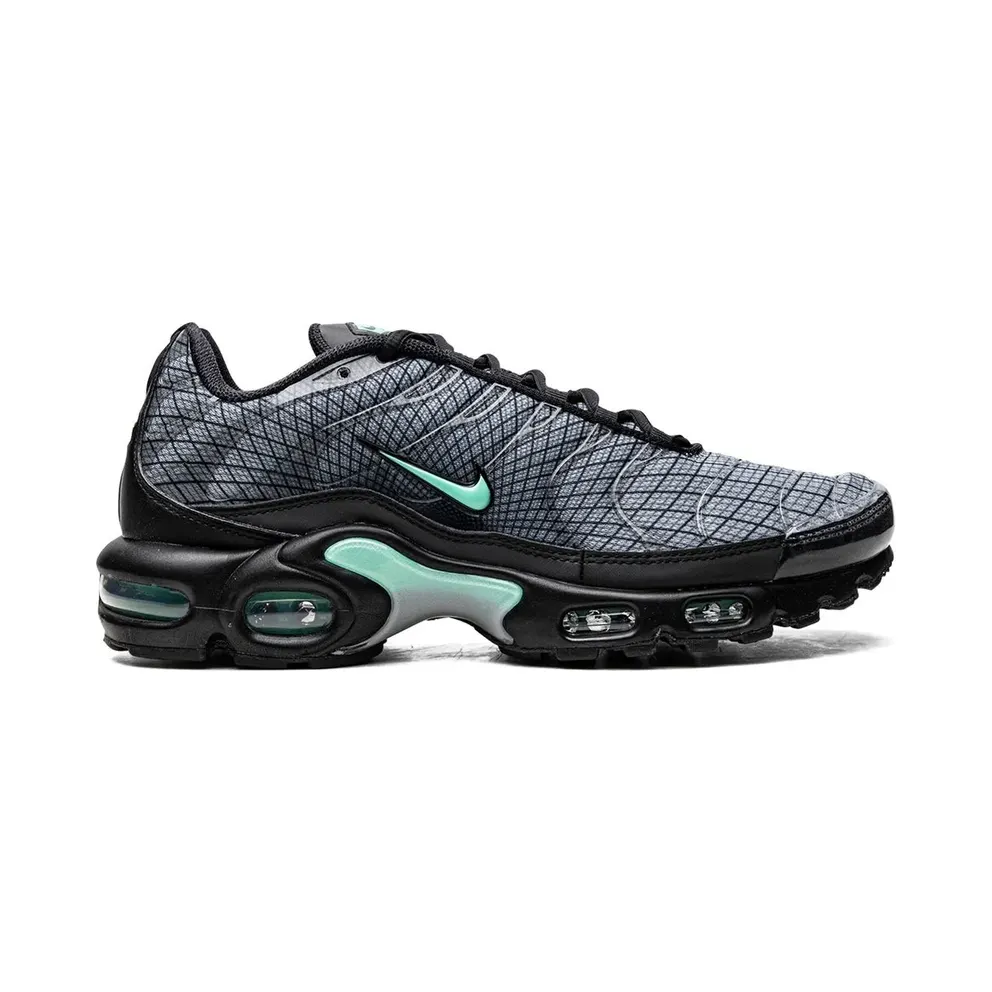 Nike Air Max Plus low-top – Grey (FB3351)