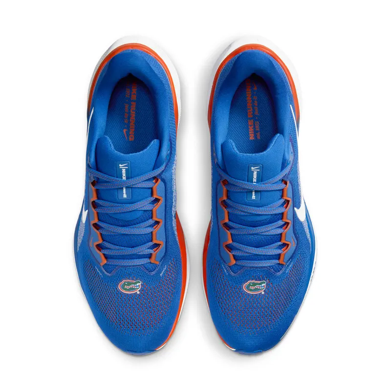Nike Air Zoom Pegasus 41 Florida (FZ5113-400)