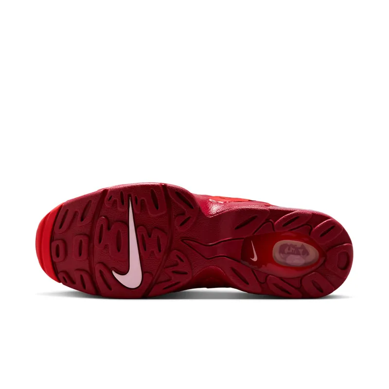 Nike Air DT Max ’96 “Love Letter To Connie” (IF1617-600)