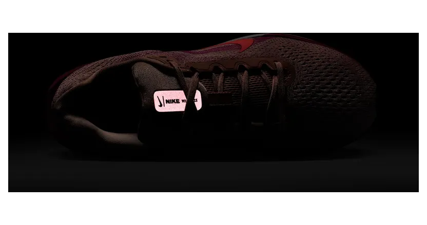 nike-winflo FJ9510-604